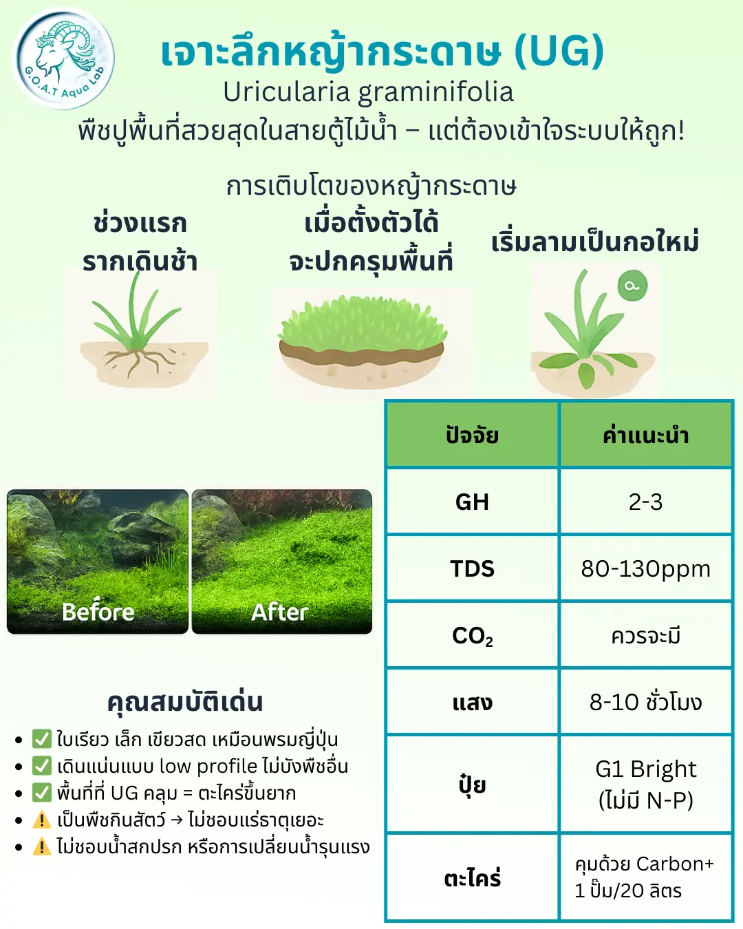 อินโฟกราฟิกคุณสมบัติของ UG