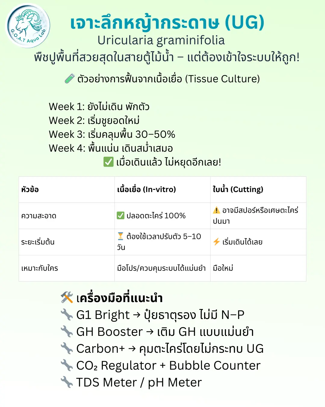 เปรียบเทียบ UG แบบเนื้อเยื่อ vs แบบใบน้ำ