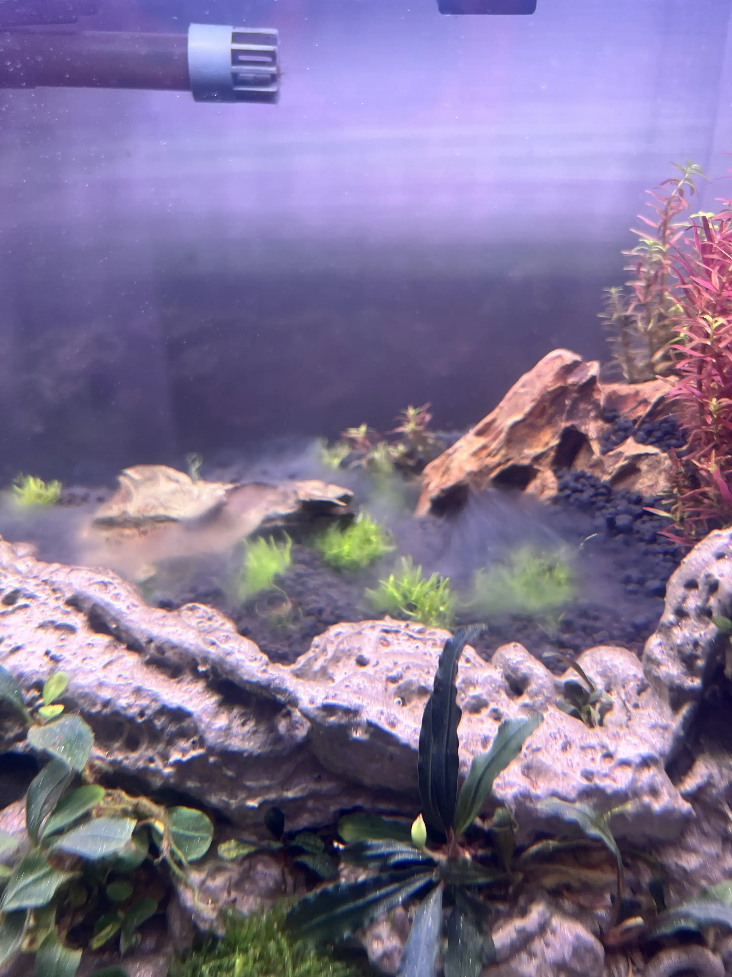 ตู้ทดลอง