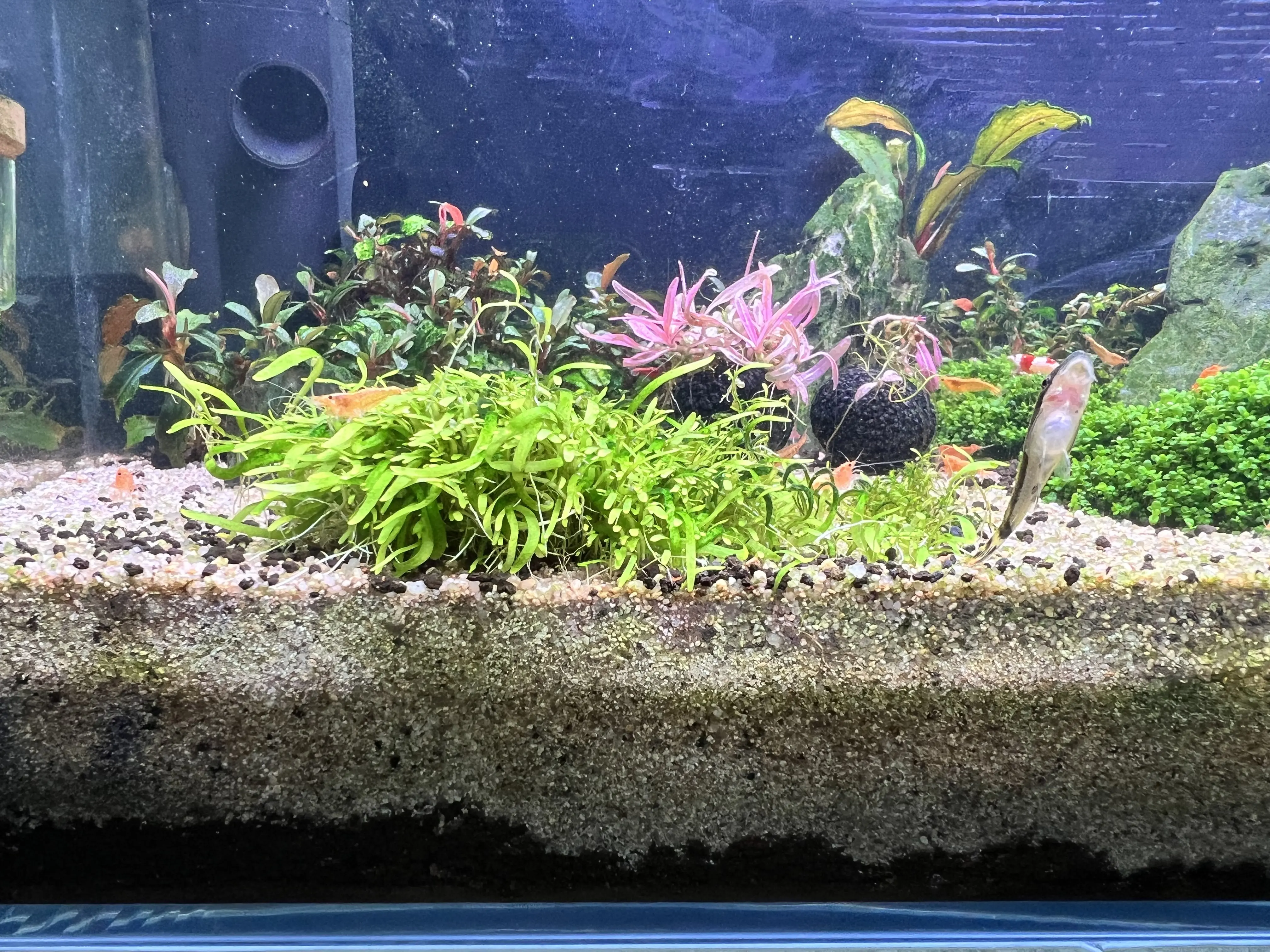 ตู้ทดลอง