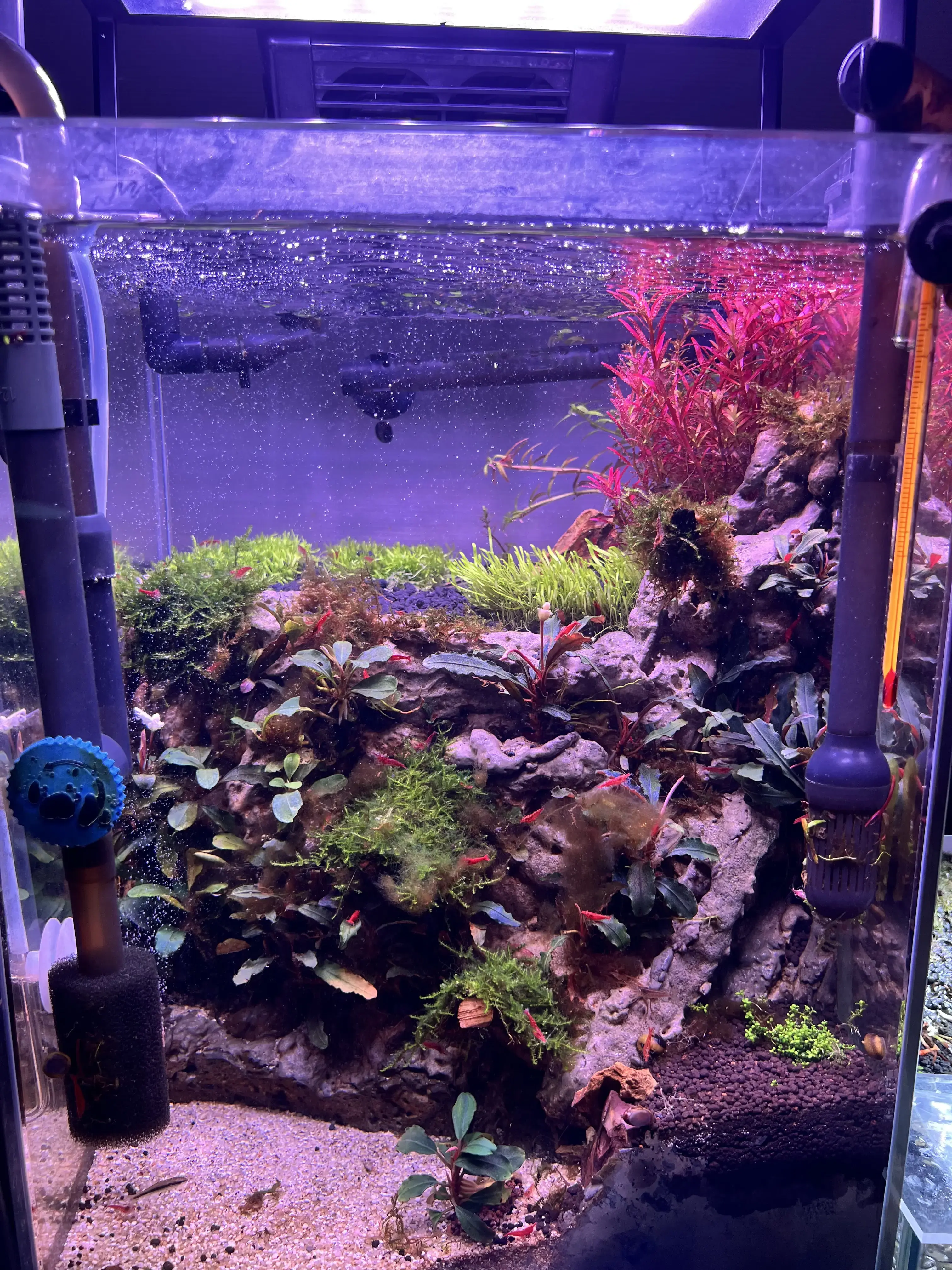 ตู้ทดลอง