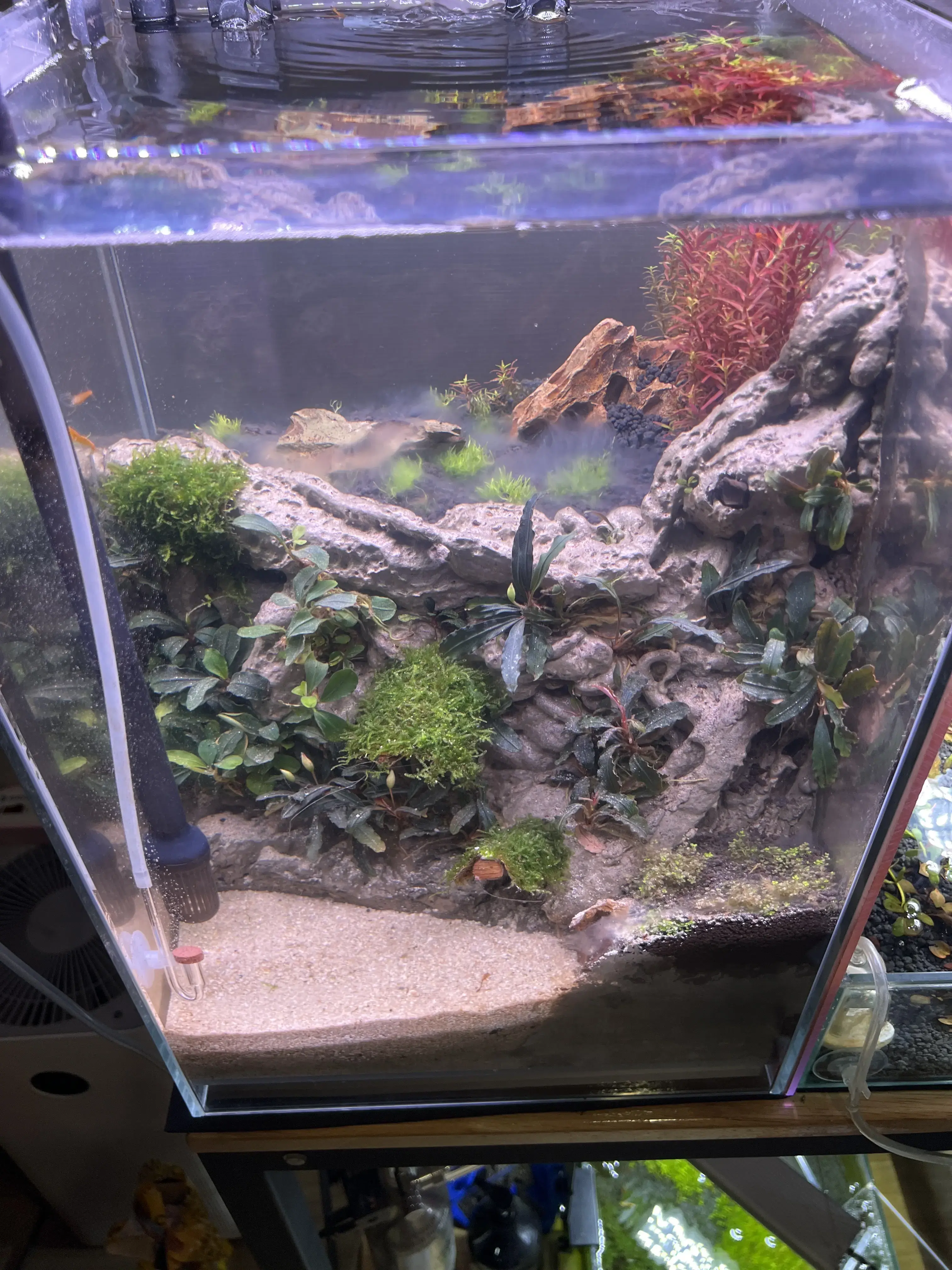 ตู้ทดลอง