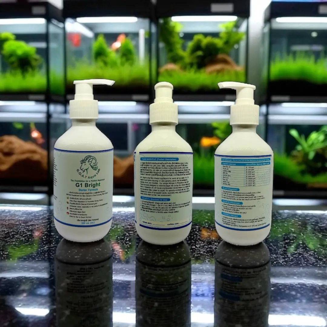 ตู้ไม้น้ำที่สมบูรณ์