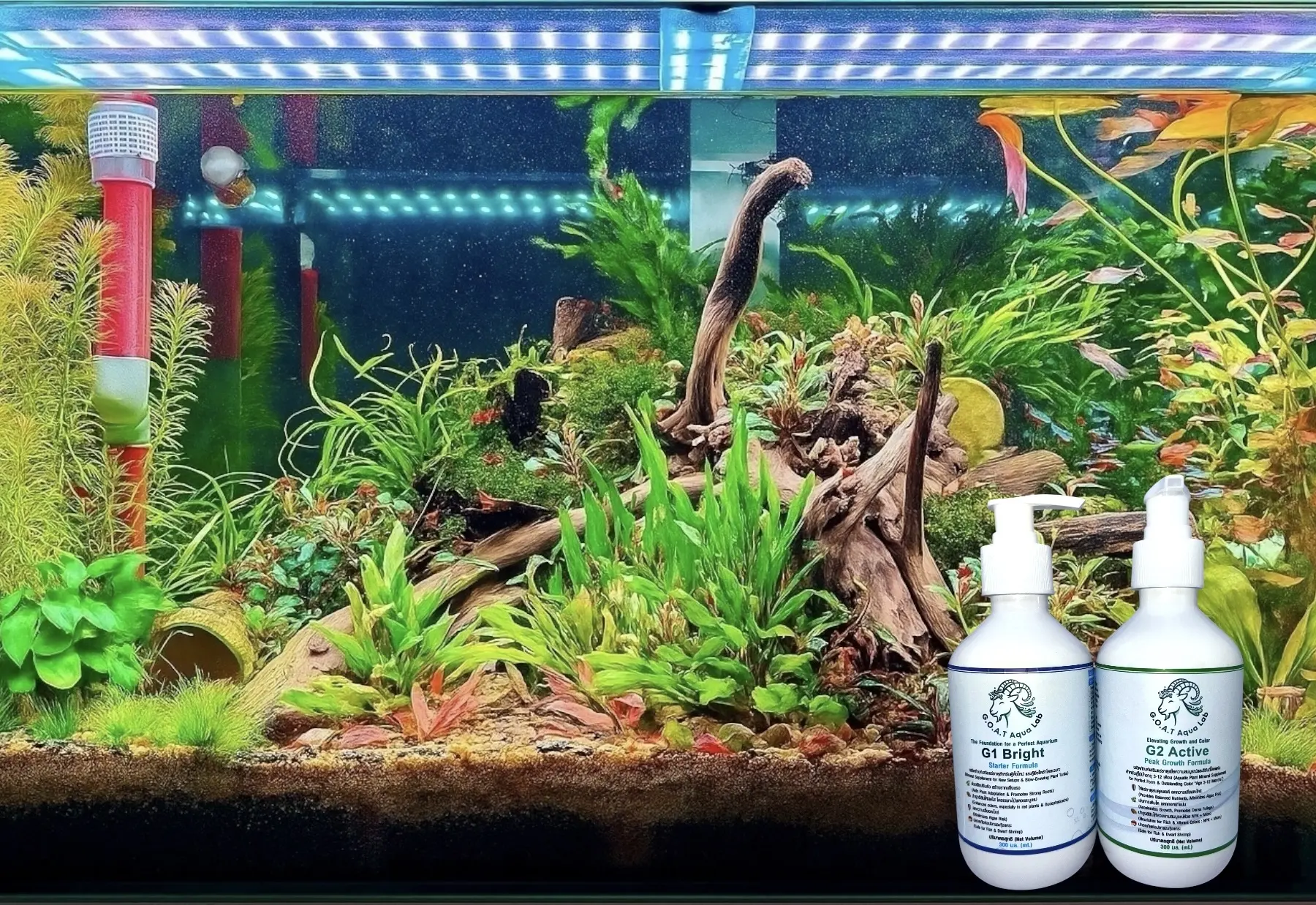 ตู้ไม้น้ำที่สมบูรณ์