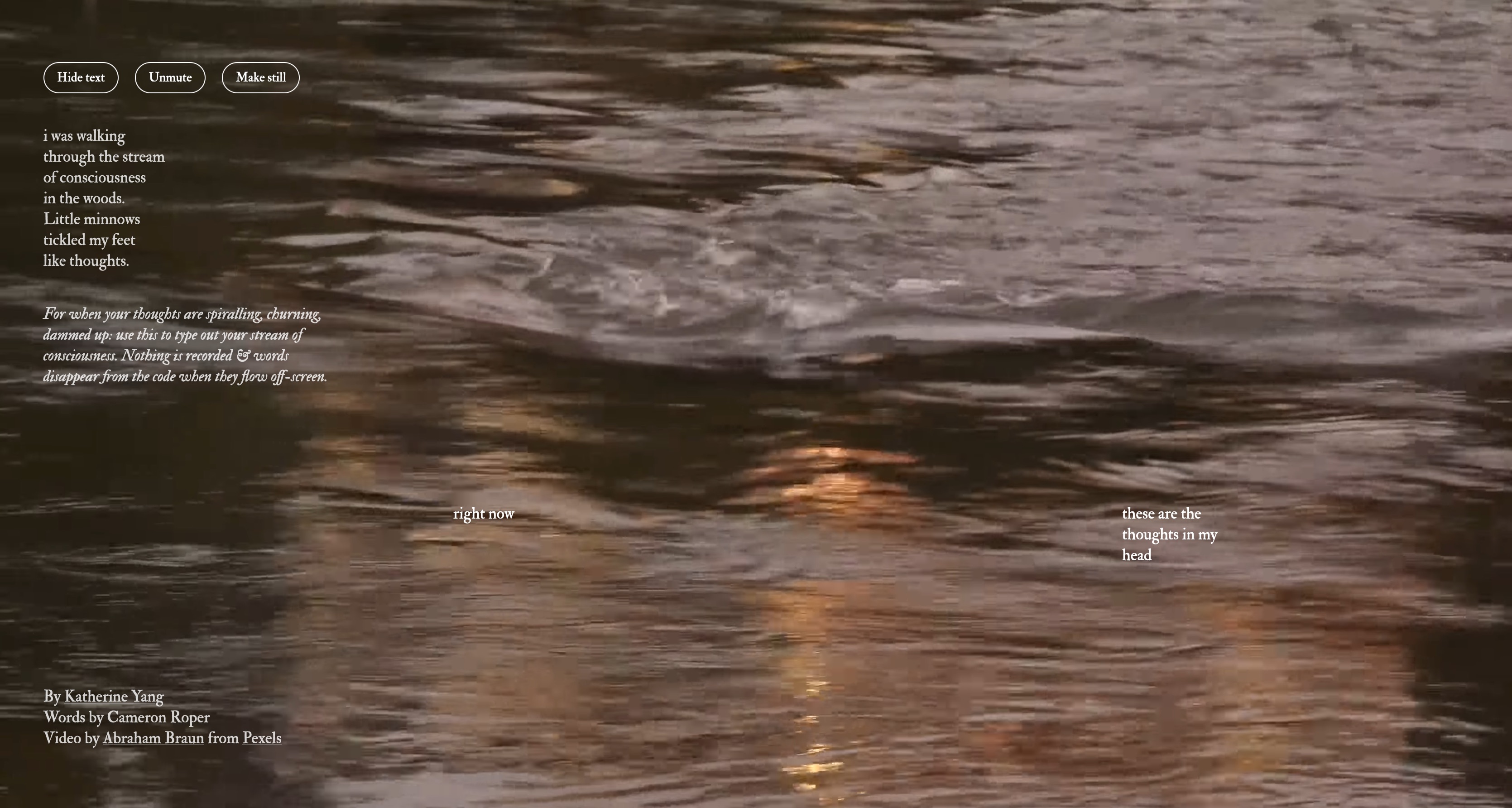 Two thoughts flow across the screen, reading from right to left: "these are the thoughts in my head", "right now".