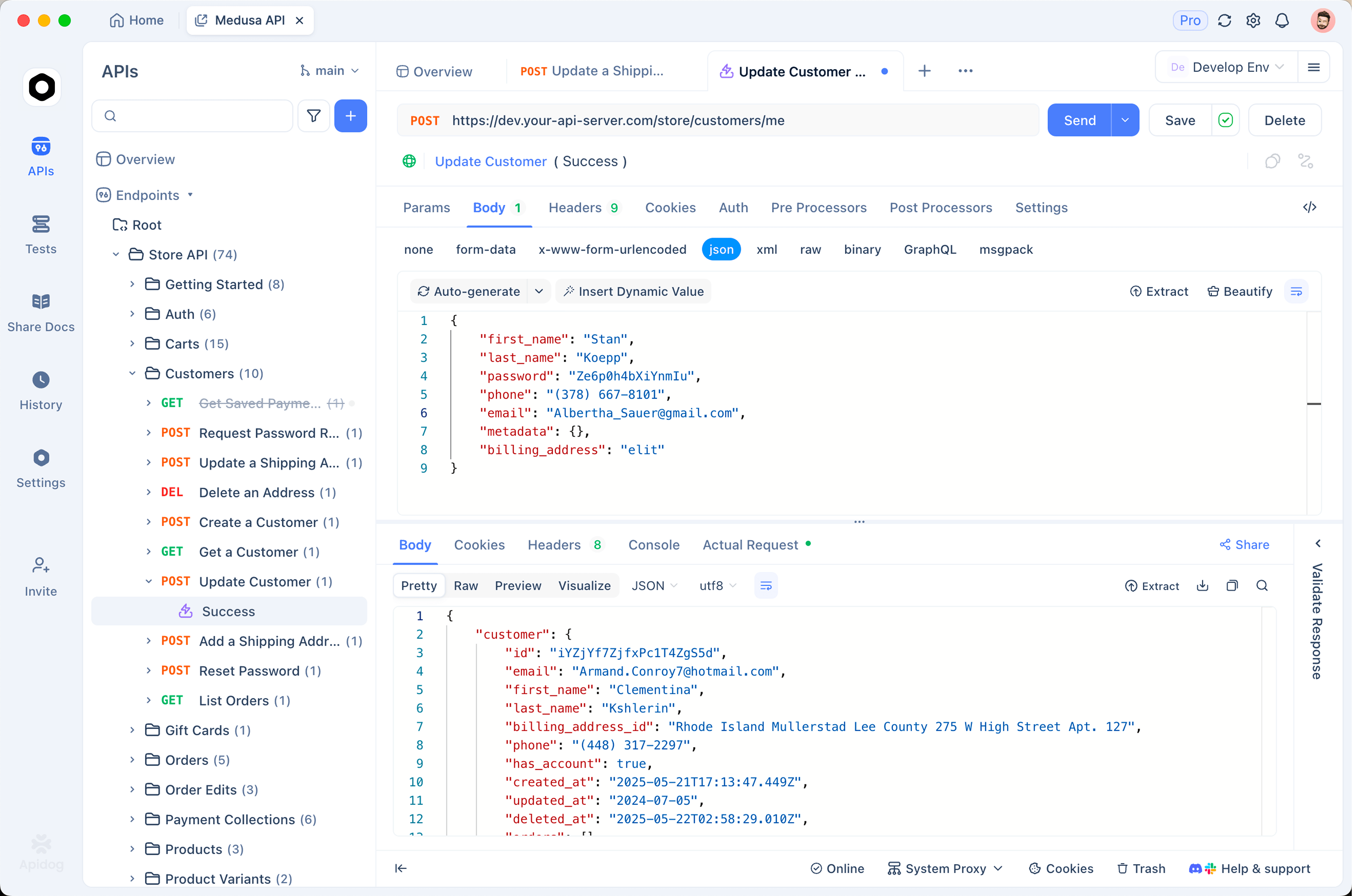 screenshot 1 of Apidog