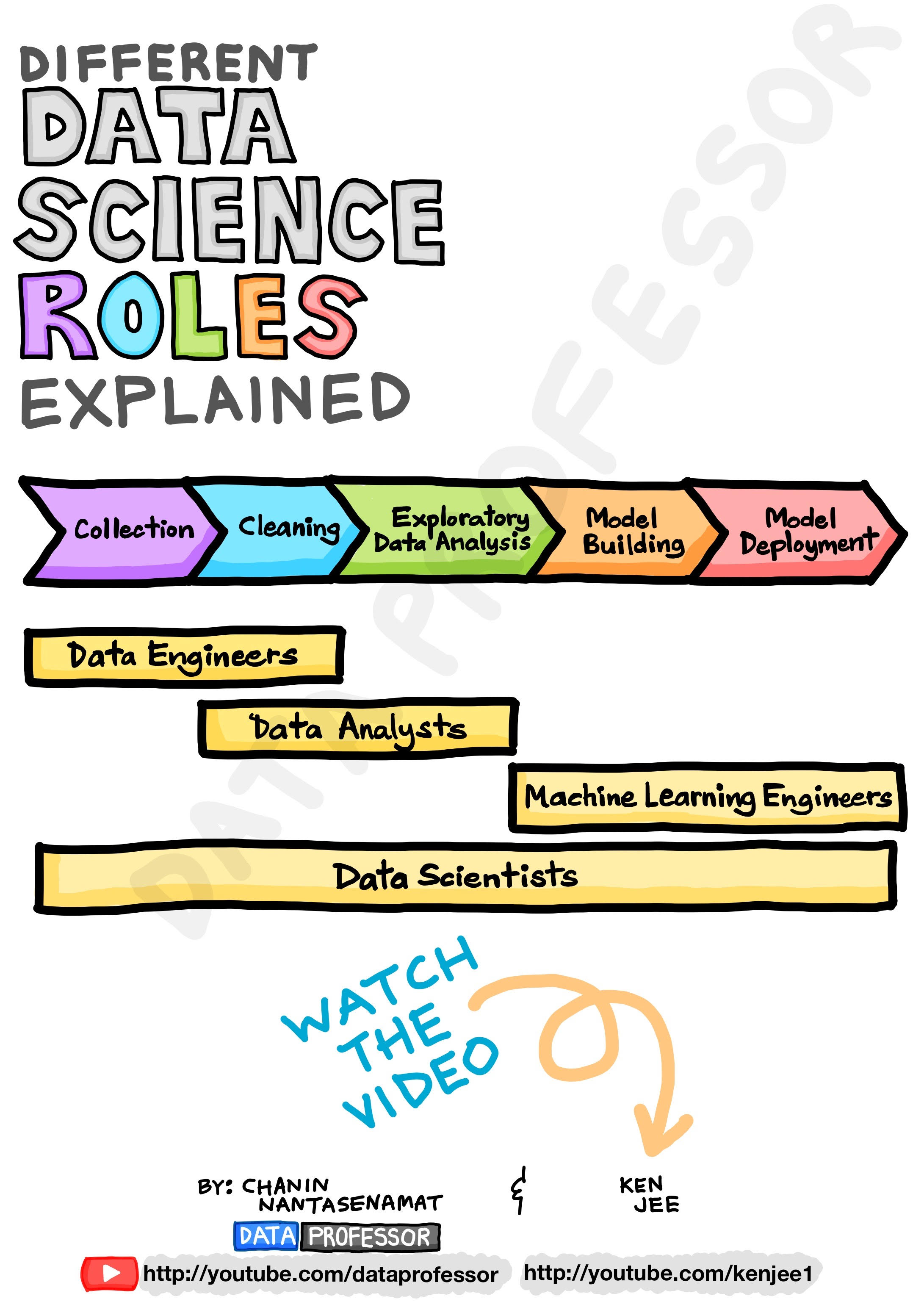 Different Data Science Roles Explained