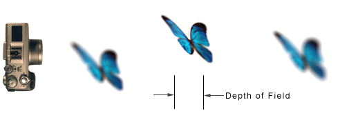 Depth_of_field_diagram