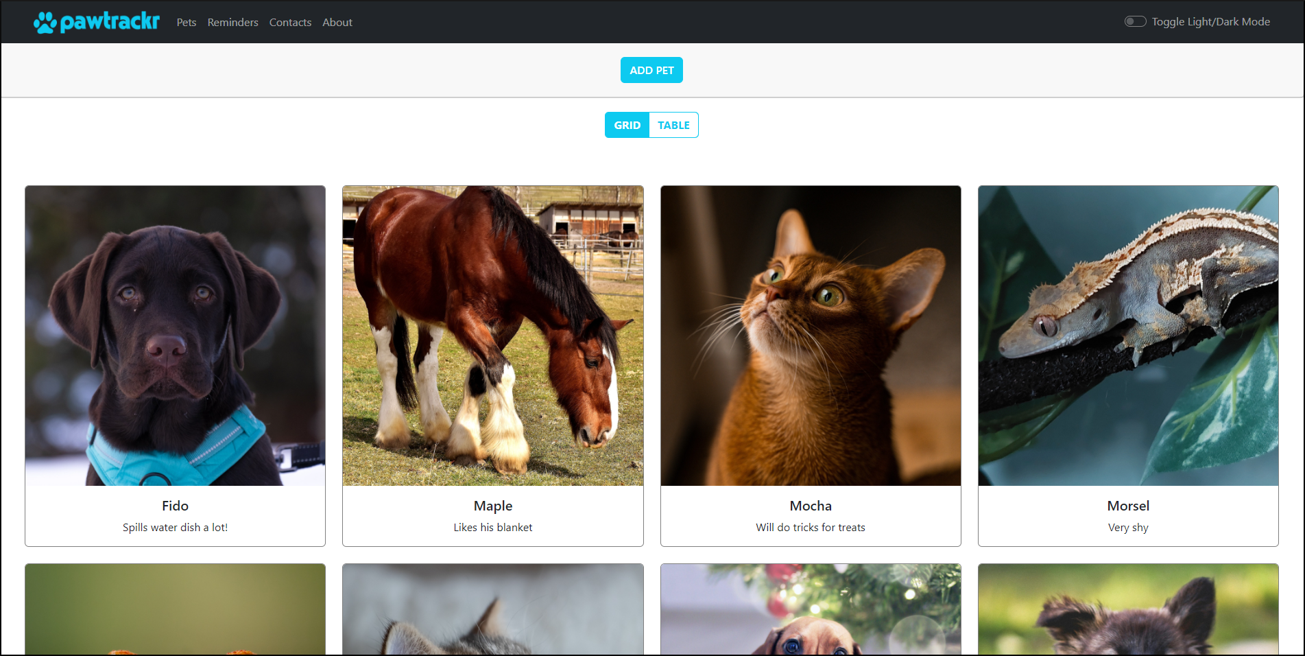 Homepage View - All Pets