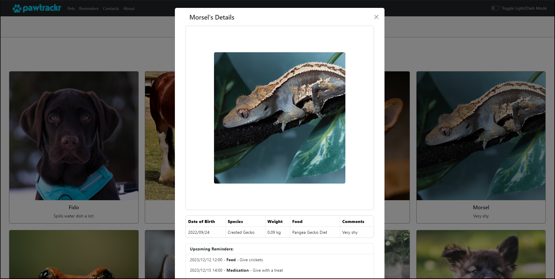 Pet Modal View