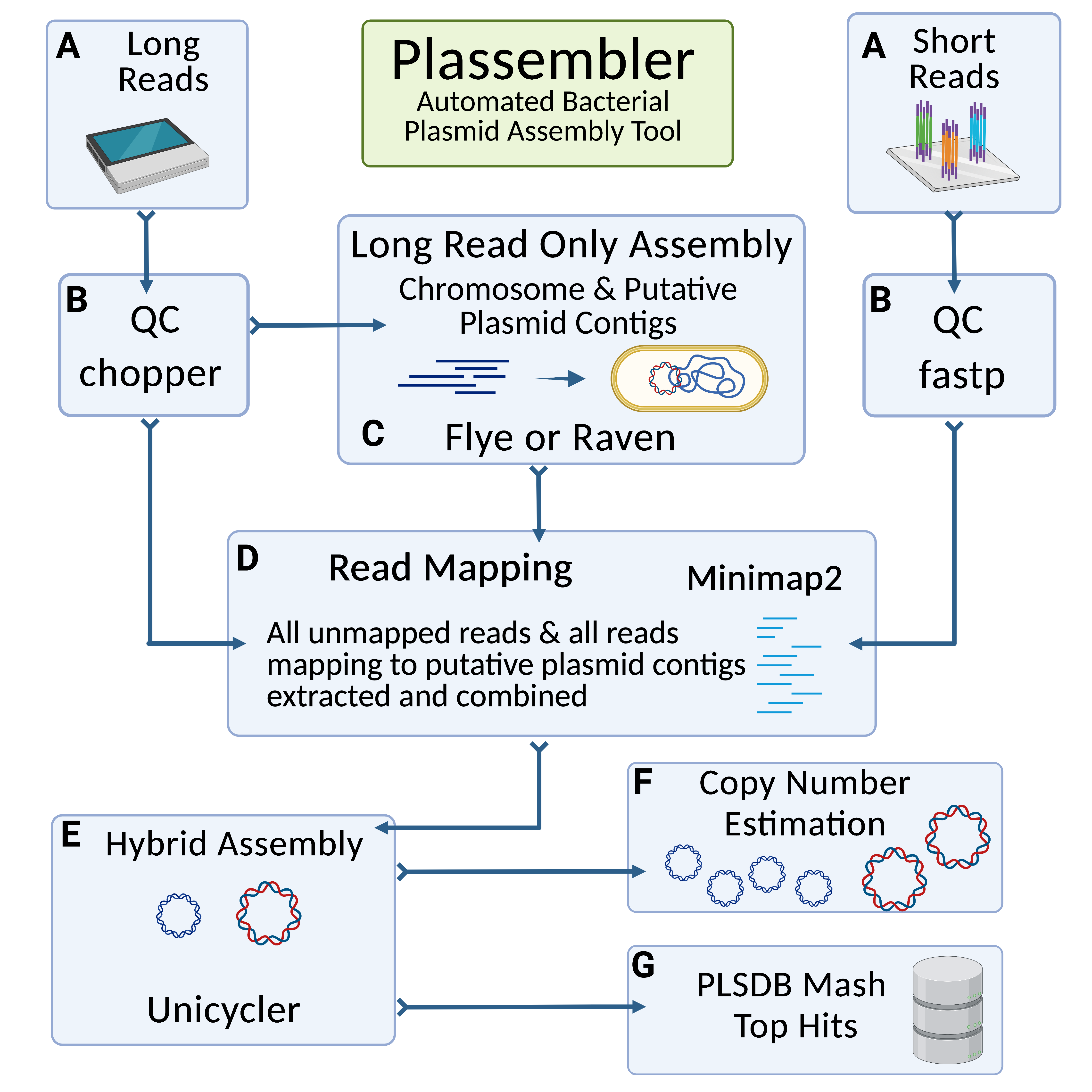 Plassembler Workflow