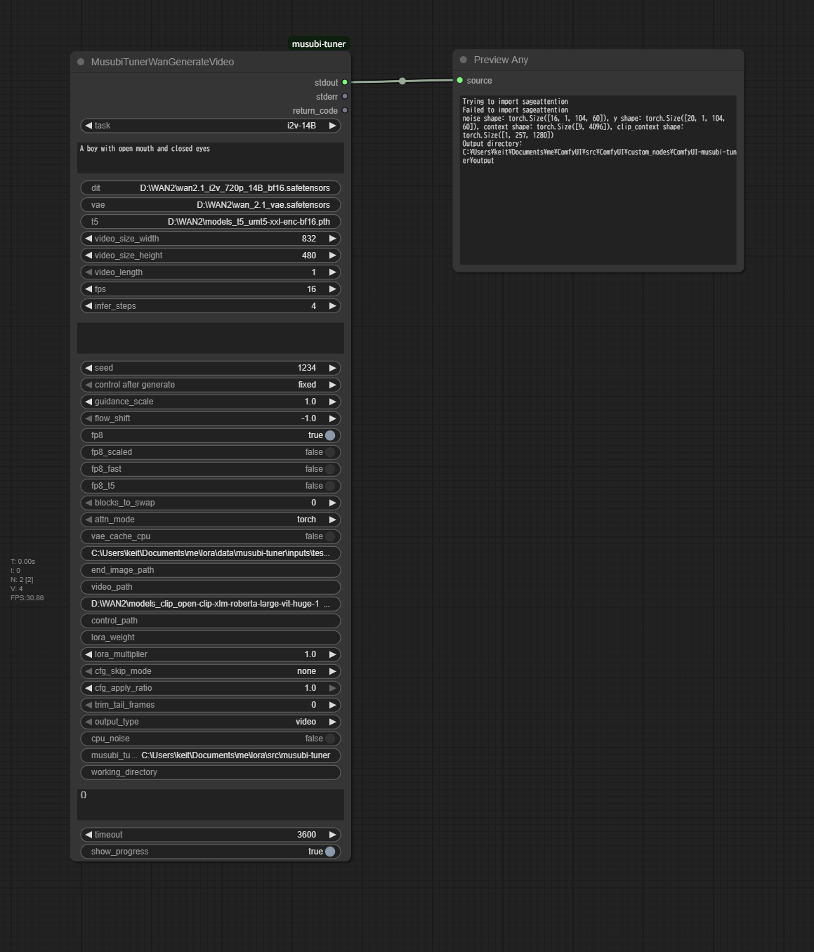 Wan Generate Video