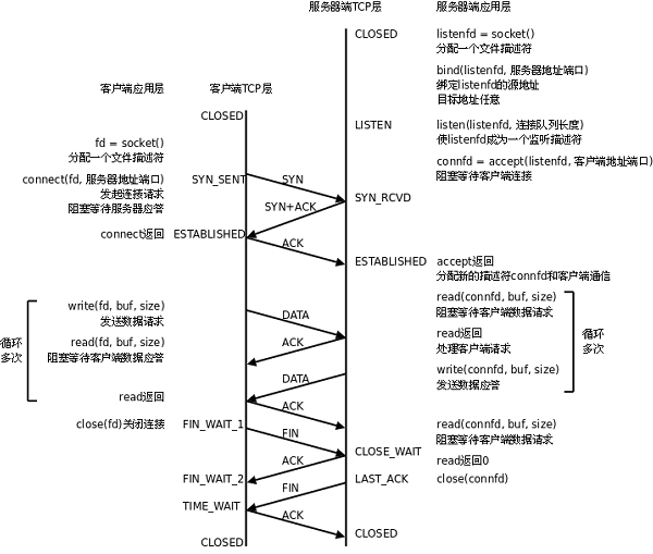 src/tcp.gif