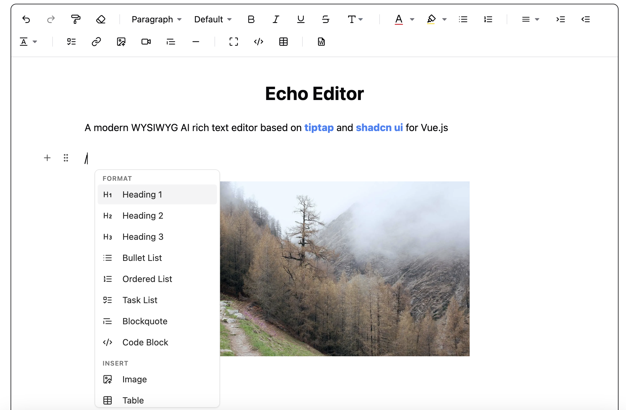 Echo Editor