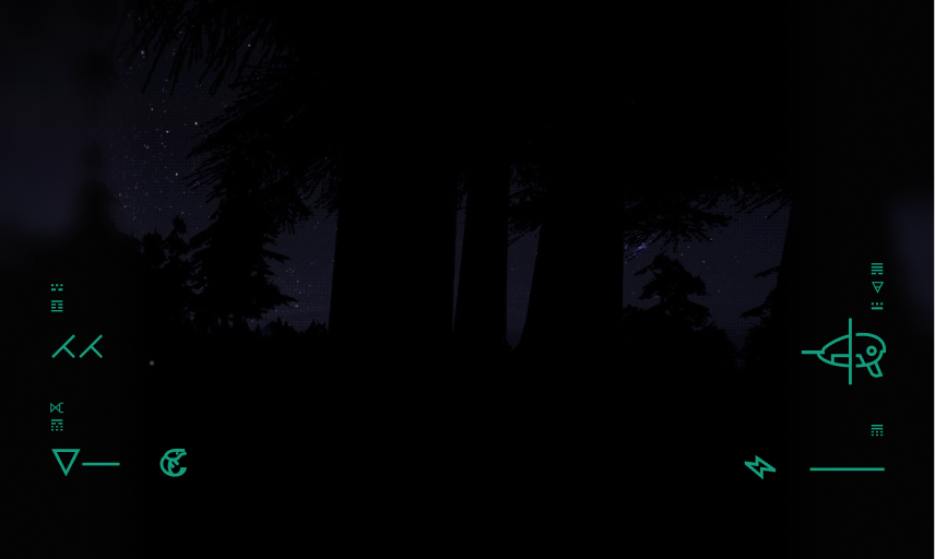 Rough Moment—Midnight Forest