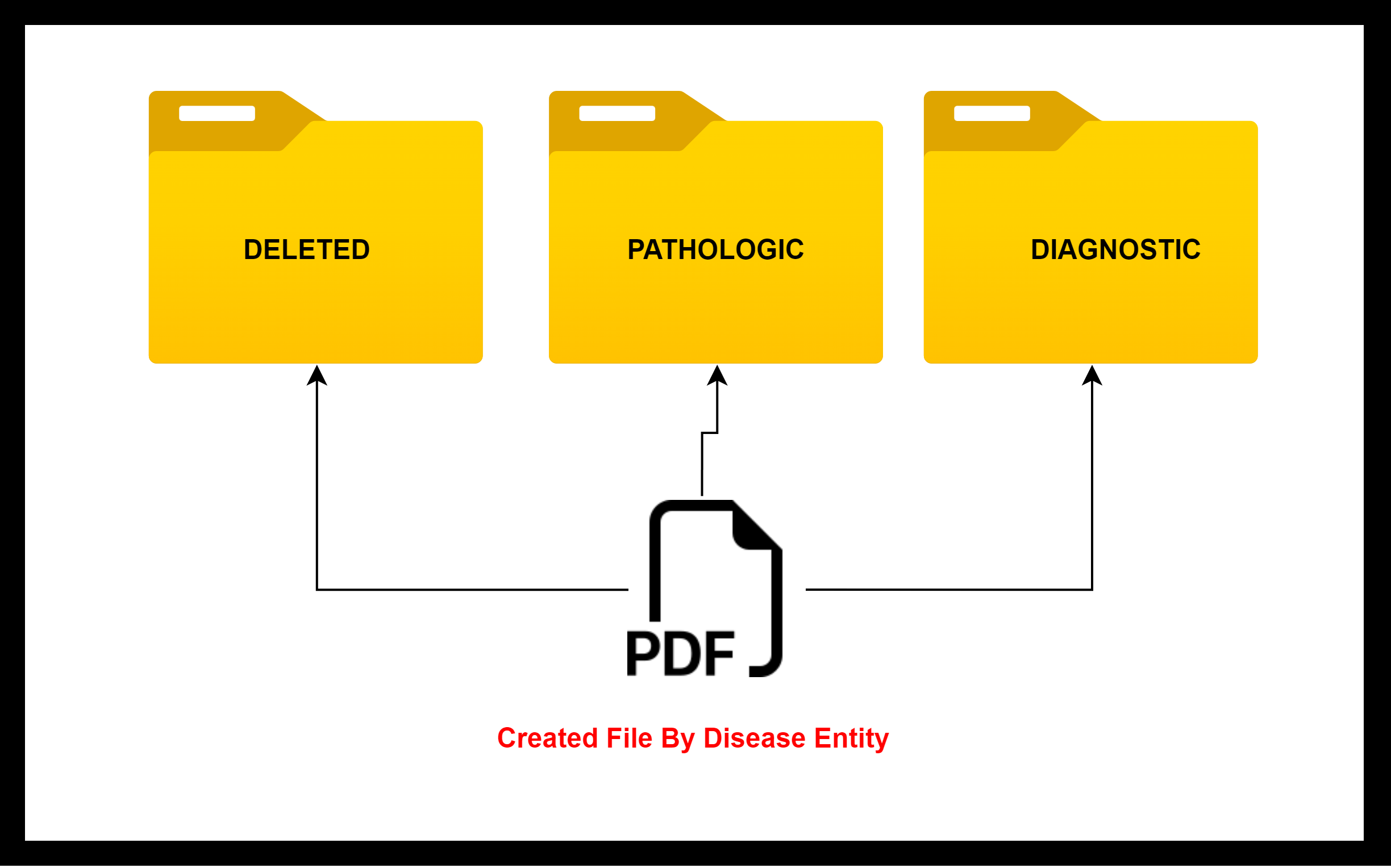 Report Folder Structure