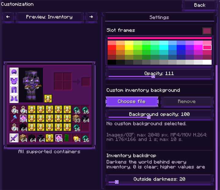 Inventory customization