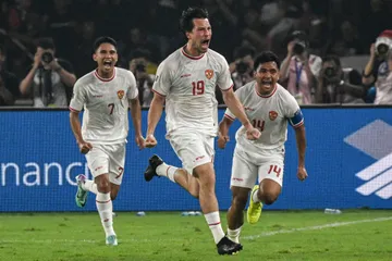 Panduan Taruhan Handicap Sepak Bola