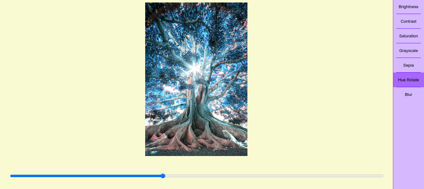 GitHub - kevinadhiguna/react-photo-editor: A photo editor that allows ...