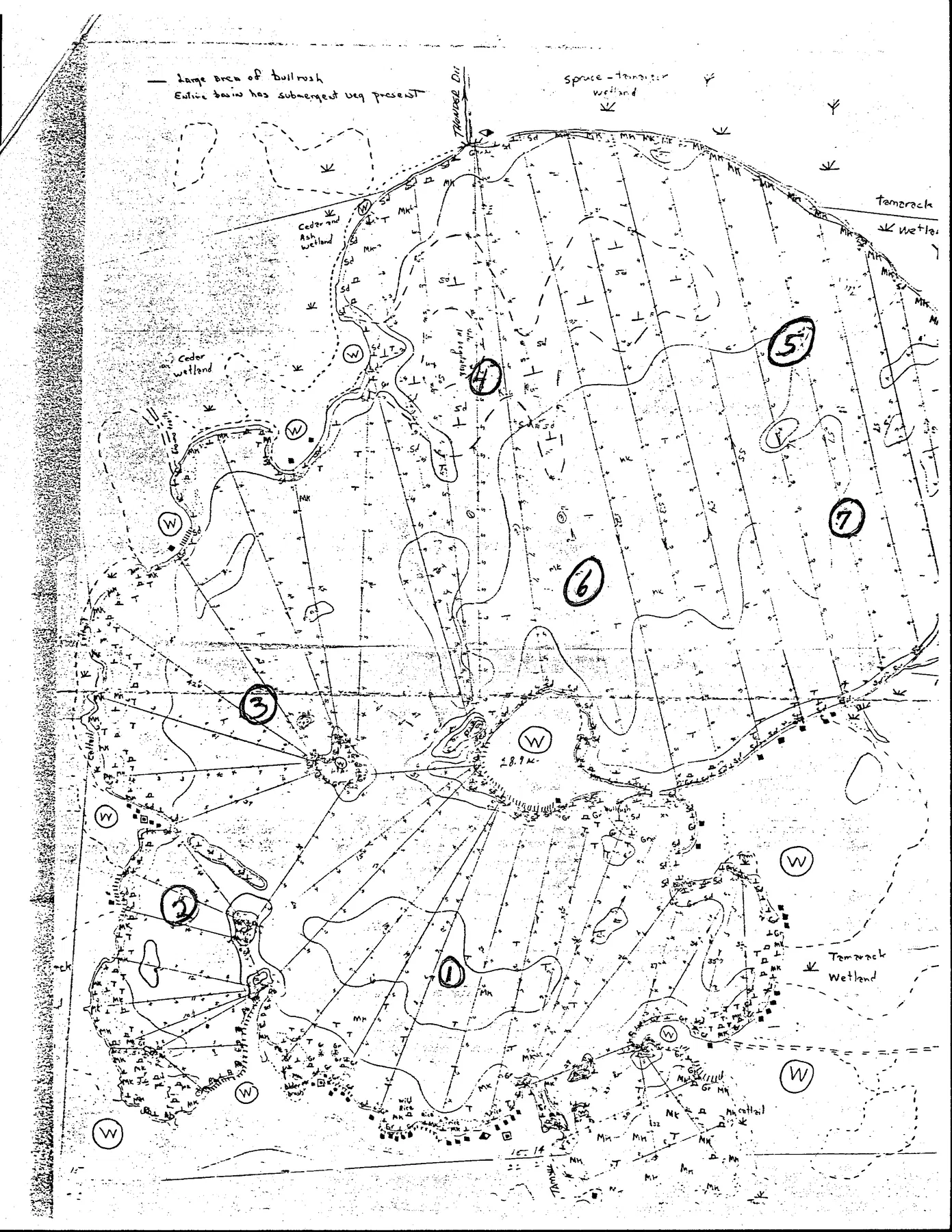 Thunder Lake historical Wisconsin DNR depth map sheet 1