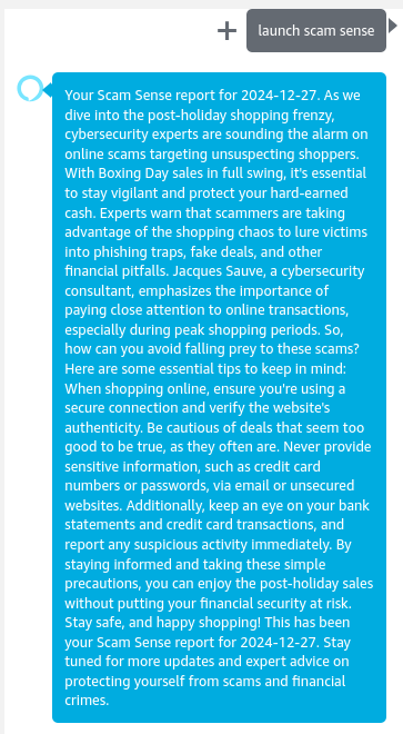 Sample response from ScamSense