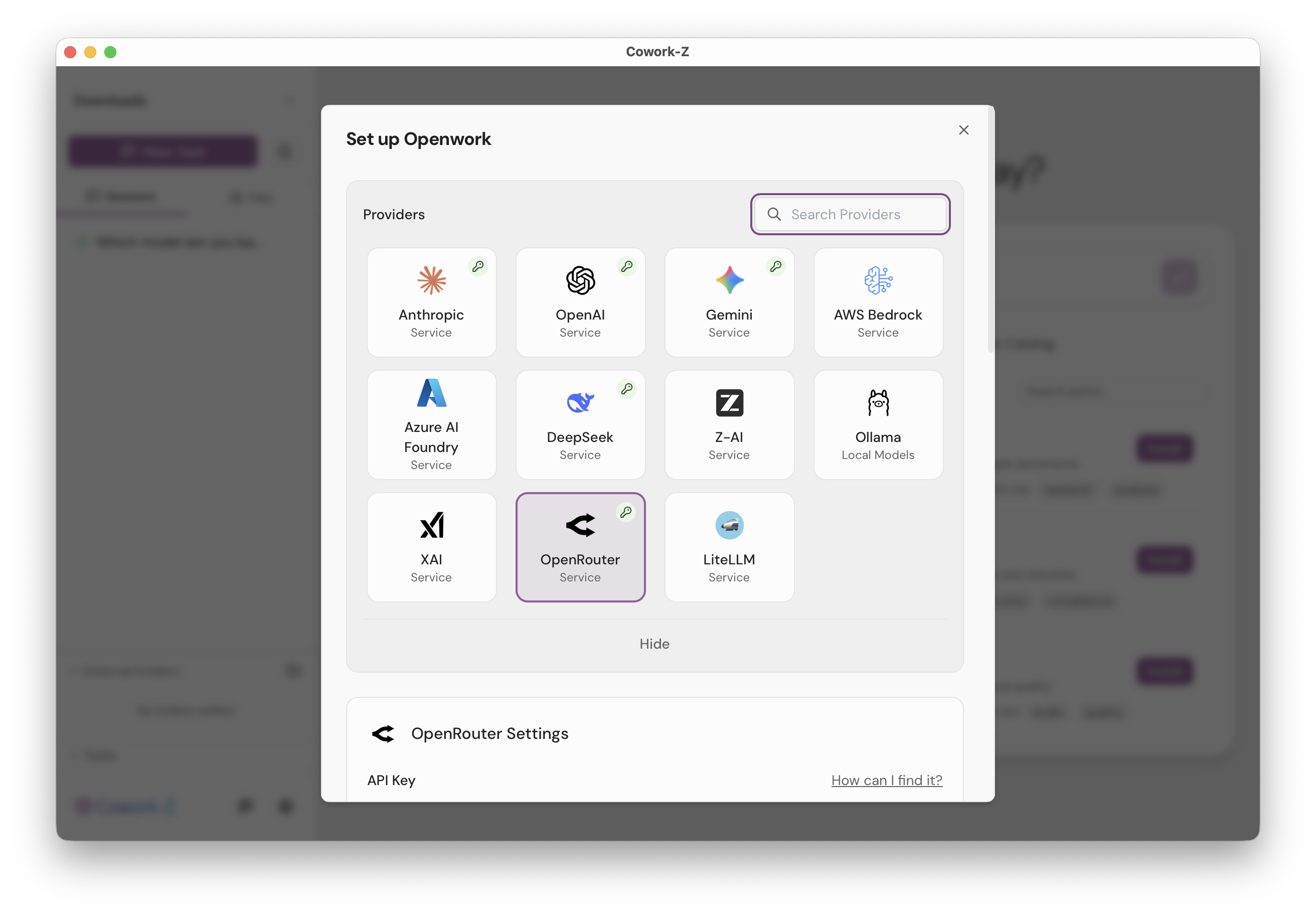 Cowork-Z — Provider Settings