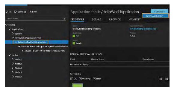 FIGURE 1-15 Deleting a new application instance