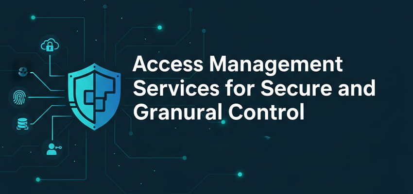 Access Management Services for Secure and Granular Control