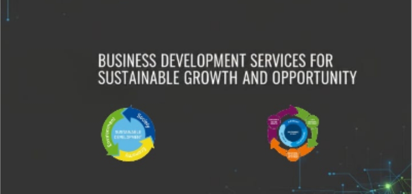 Business Development Services for Sustainable Growth and Opportunity