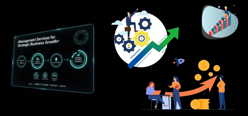 Management Services for Strategic Business Growth