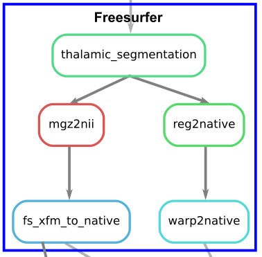 Freesurfer workflow