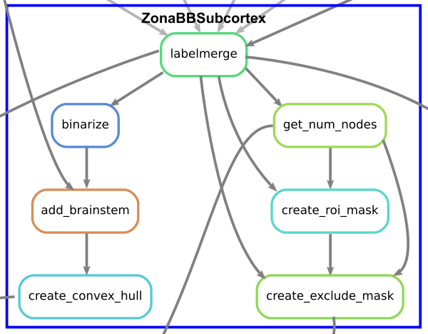 Subcortex workflow