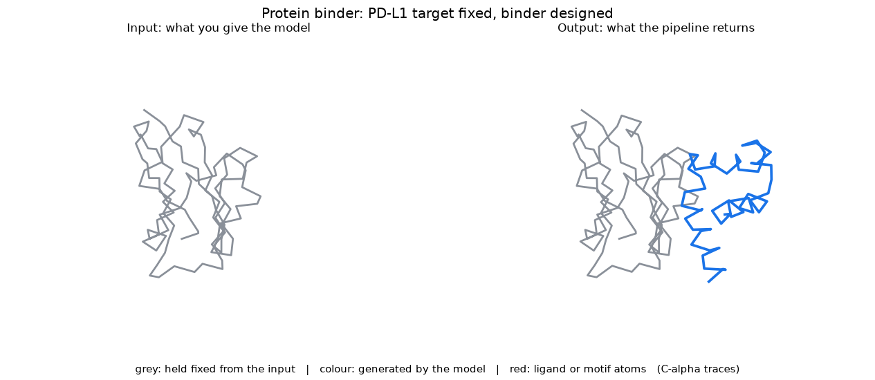 protein binder