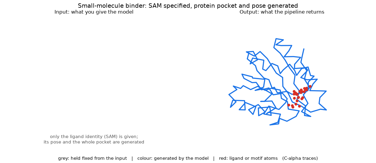 small molecule binder