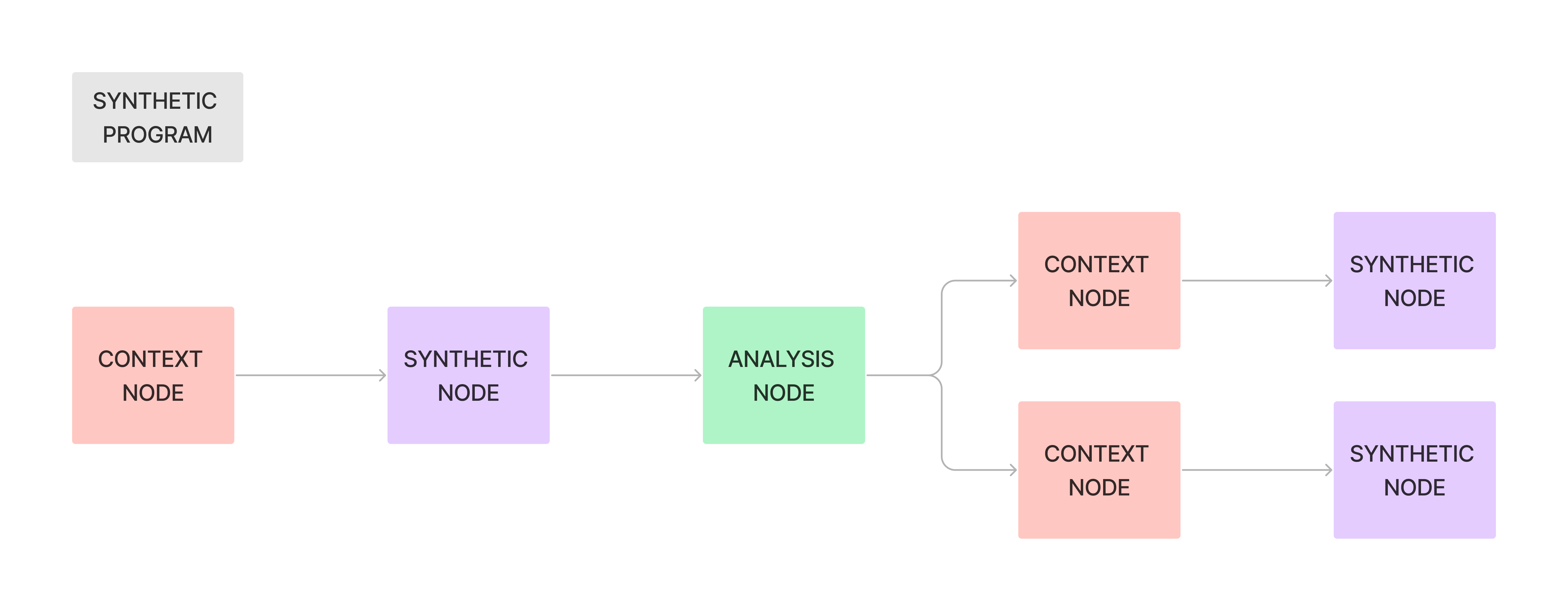 Synthetic Program