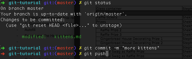 Git Push