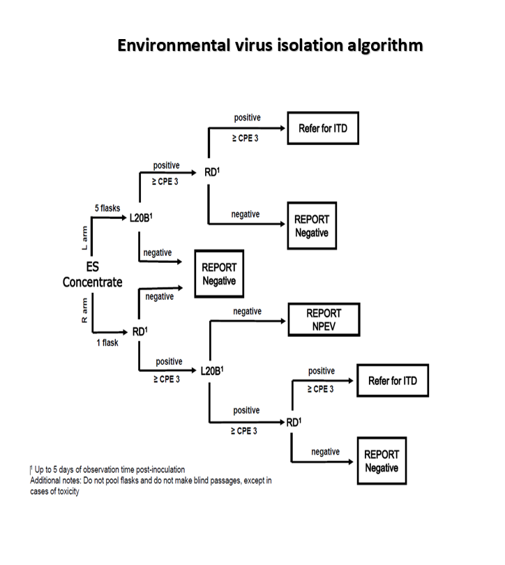 ENVS algorithm