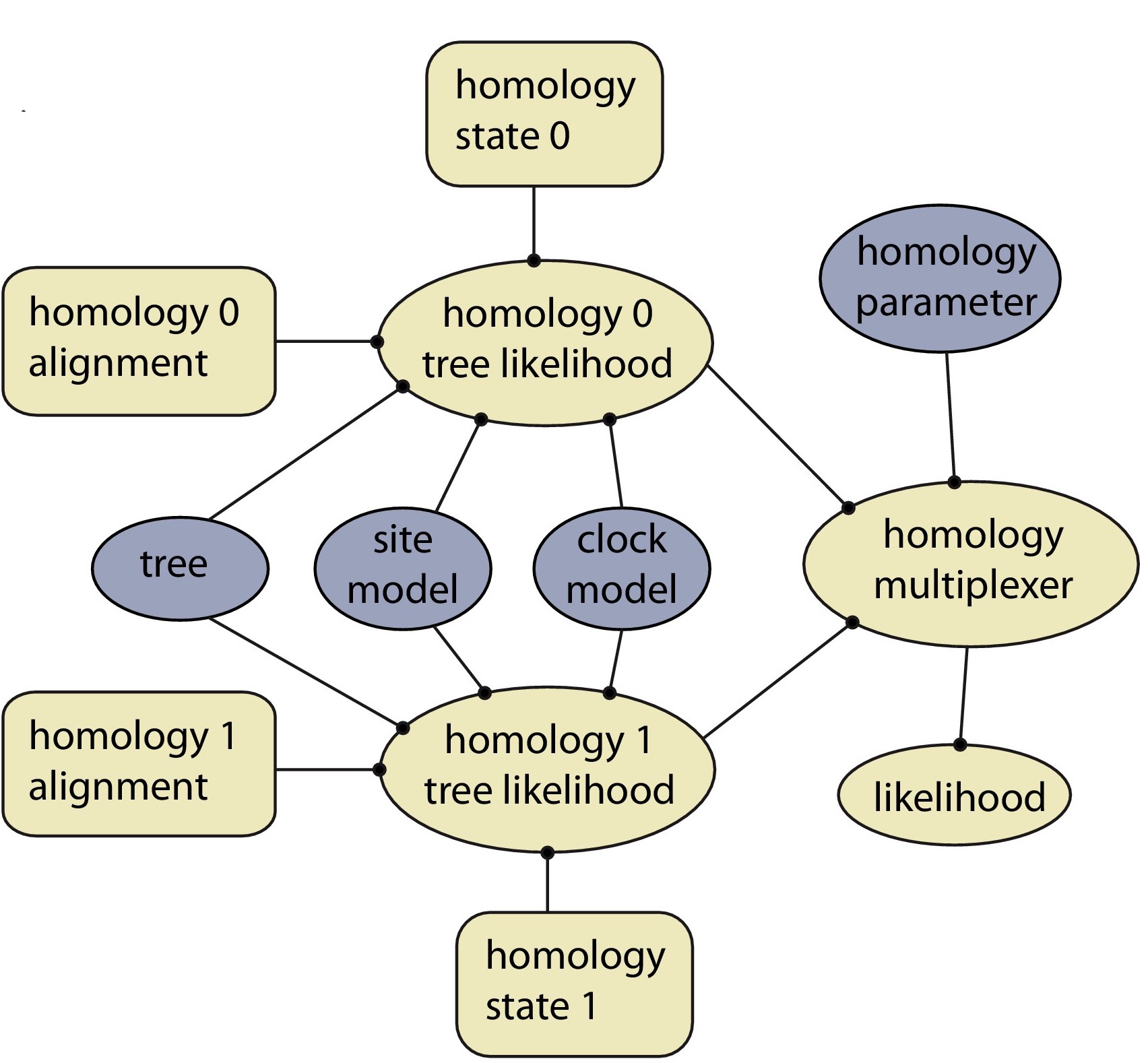 Graphical model of a dynamic homology partition