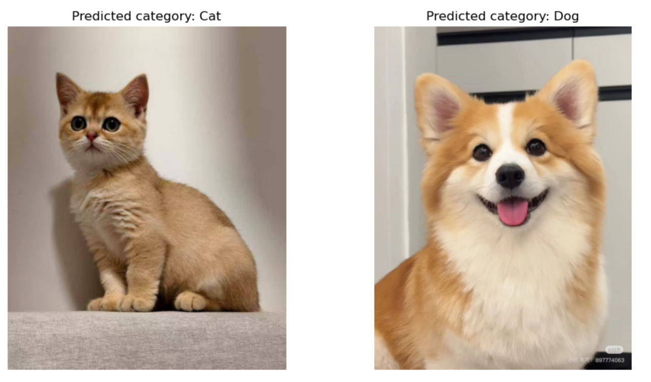 猫狗图像分类