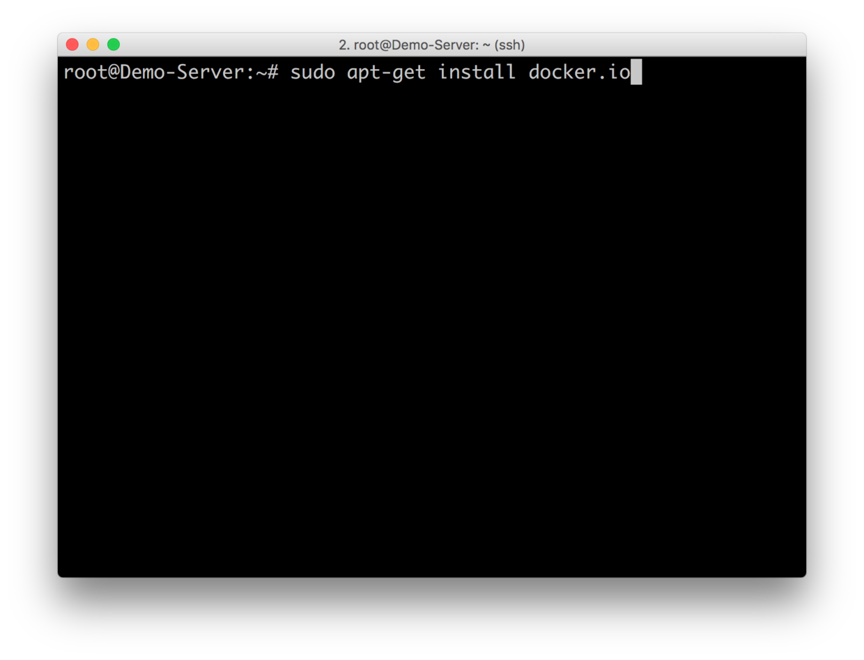 sudo apt-get install docker.io