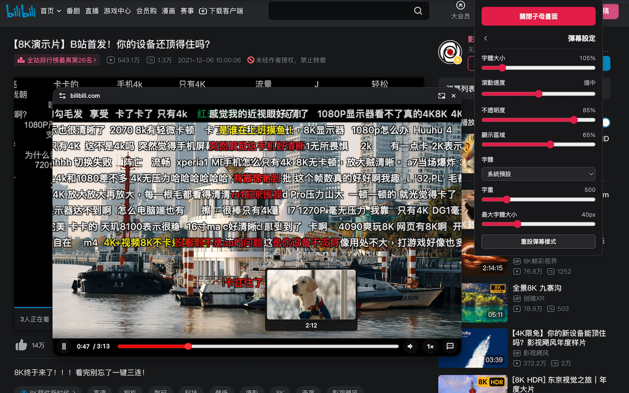 Bilibili Picture-in-Picture demo