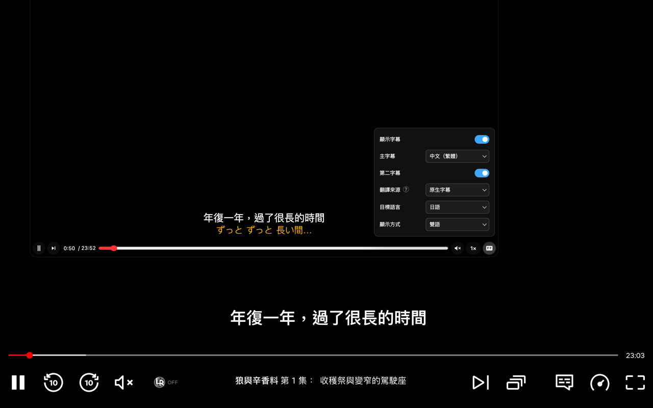 Netflix Picture-in-Picture bilingual subtitles; video is black due to DRM
