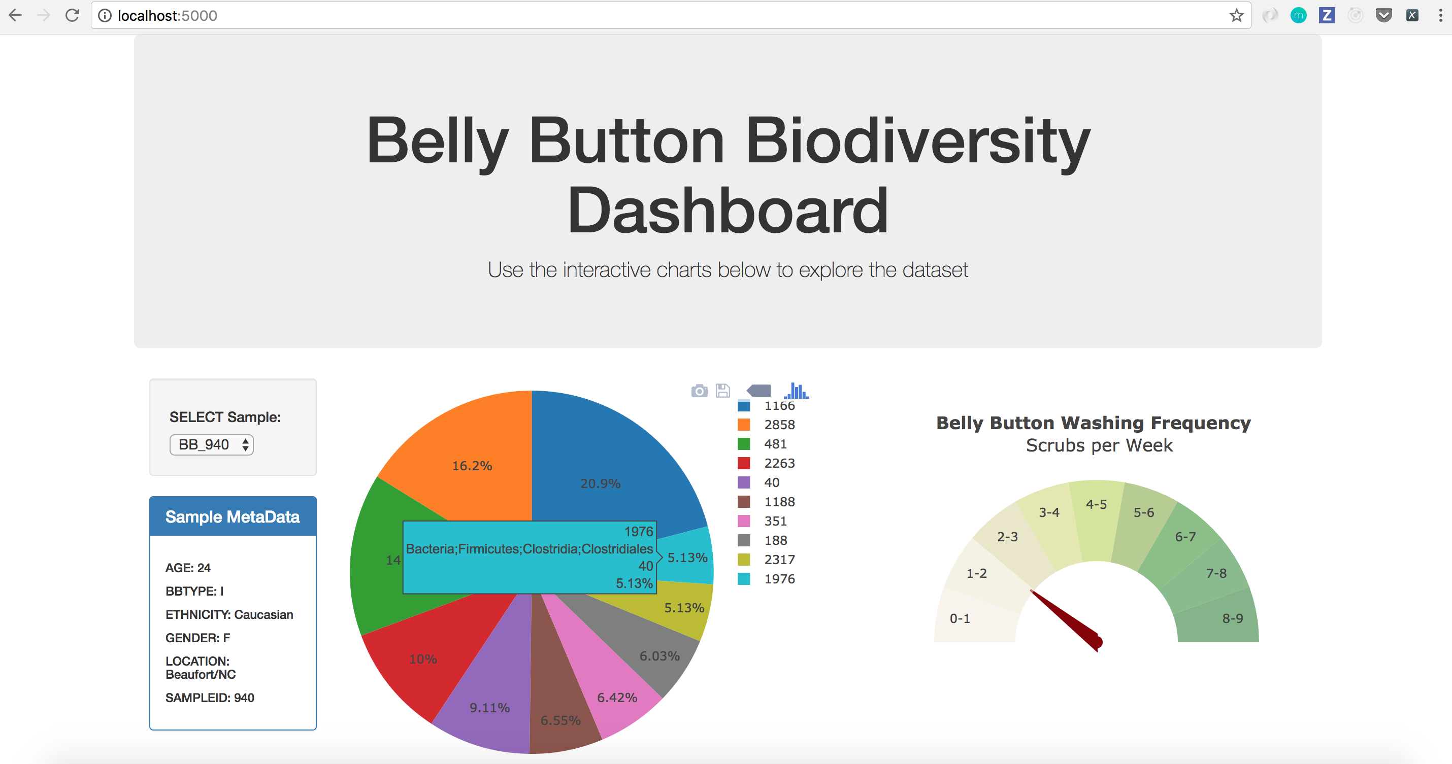 Example Dashboard Page