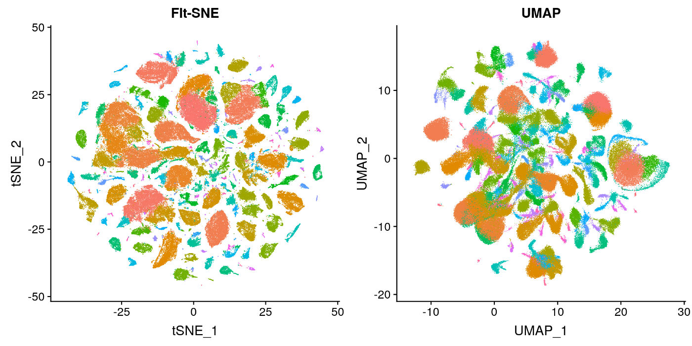 tSNE vs UMAP