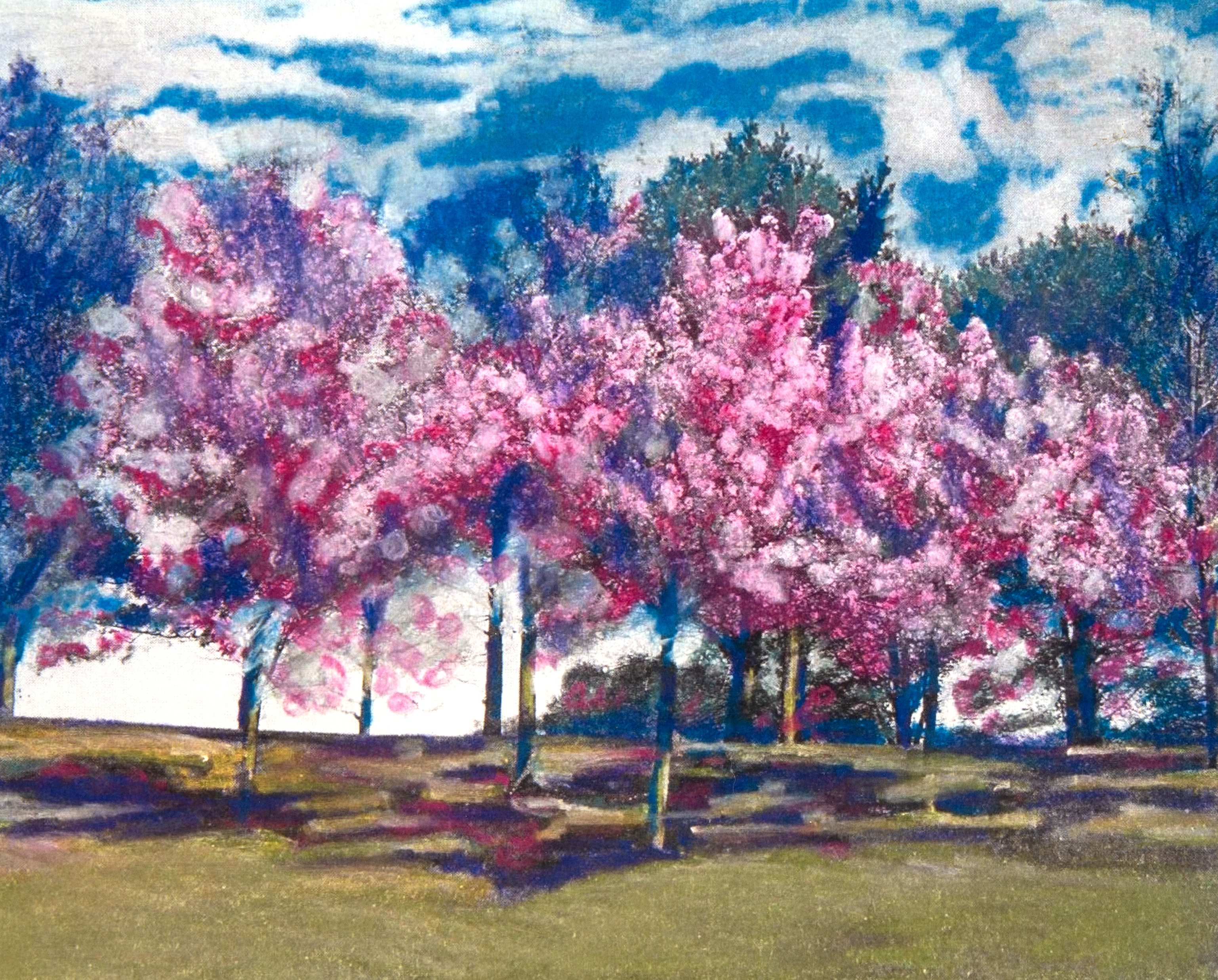 Cherry Tree 2