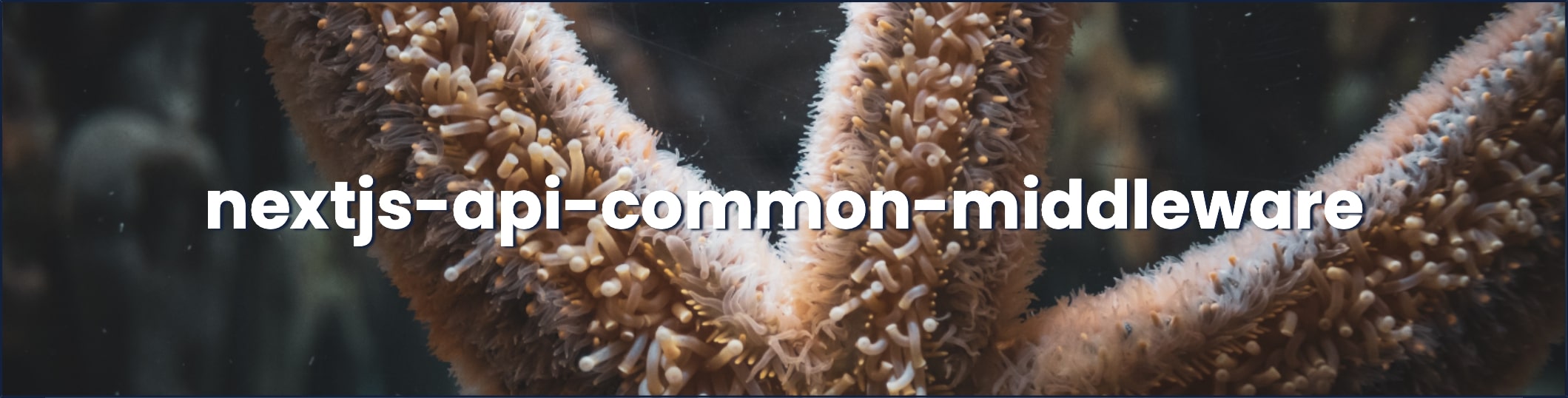 nextjs-api-common-middleware