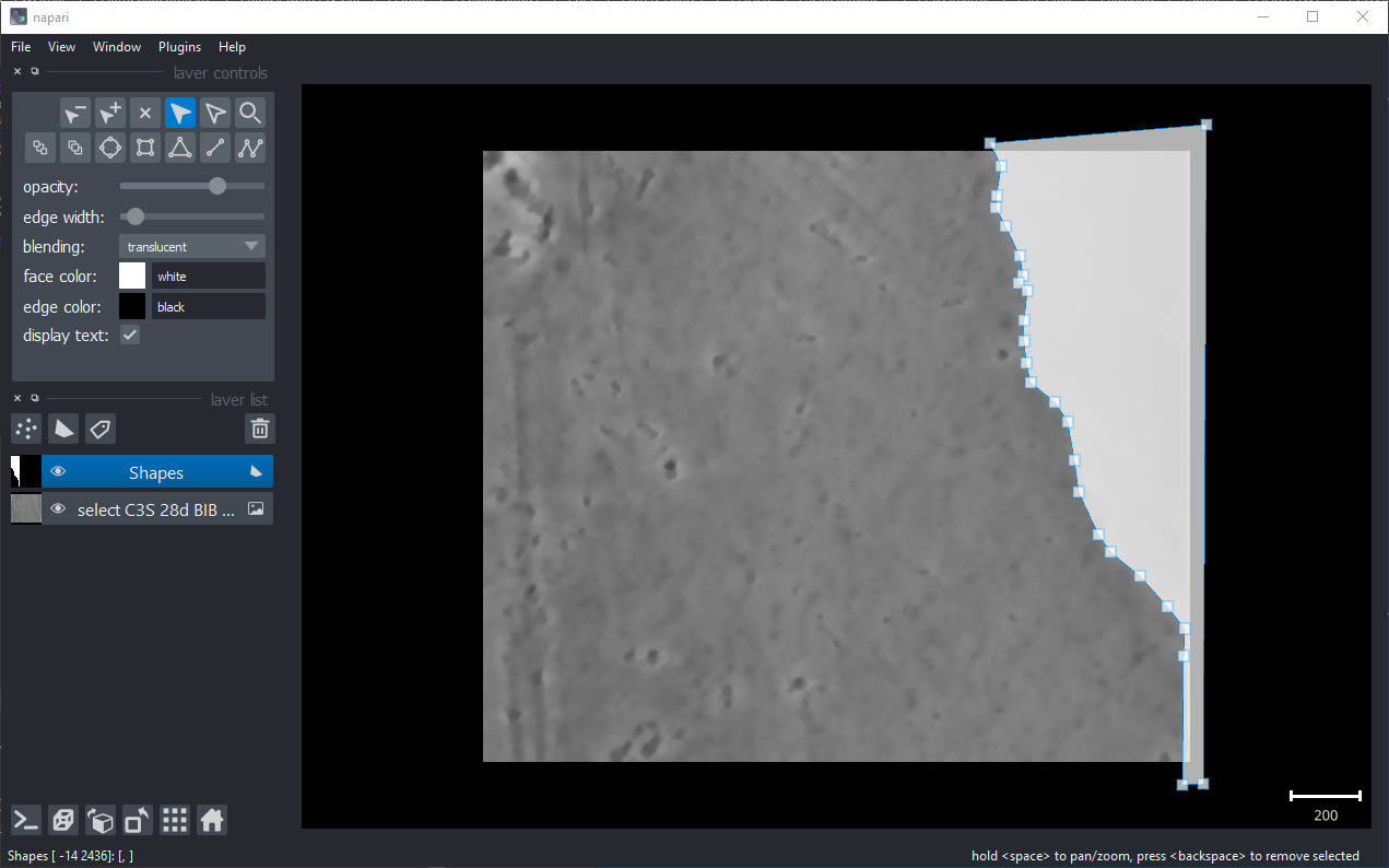 napari window to select excluded areas