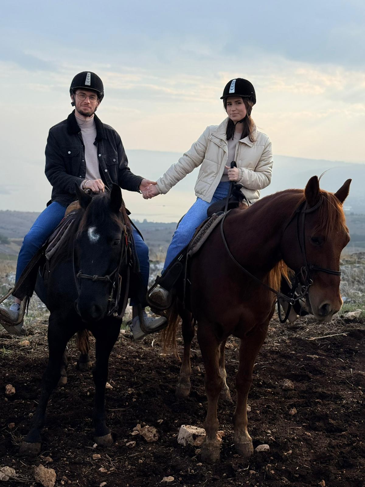 חוות סוסים בצפון