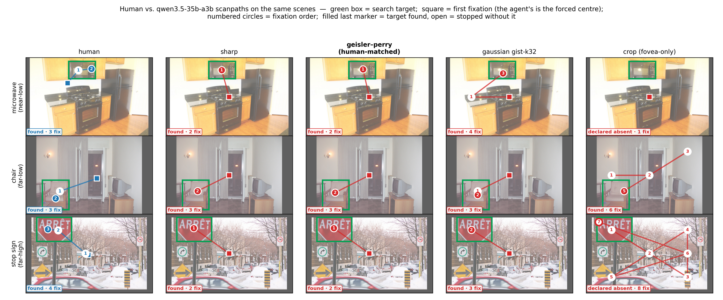 Human vs model scanpaths