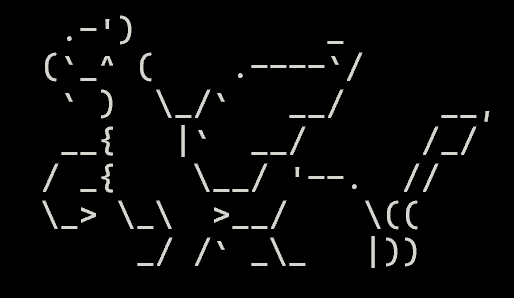 Cover Image of the Post